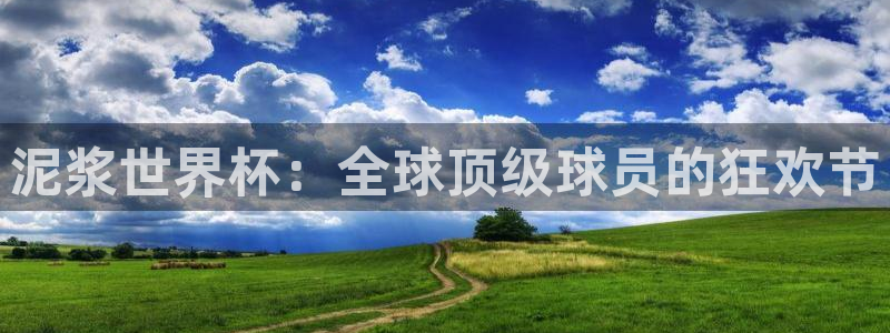 世界杯比赛直播：泥浆世界杯：全球顶级球员的狂欢节