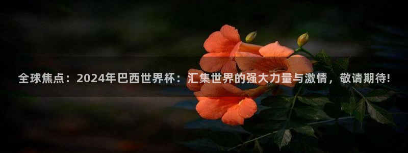2026年世界杯：全球焦点：2024年巴西世界杯：汇集世界的强大力量与激情，敬请期待!