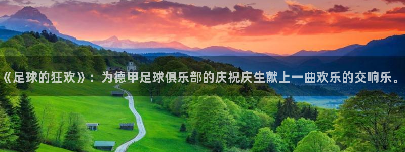 世界杯 直播：《足球的狂欢》：为德甲足球俱乐部的庆祝庆生献上一曲欢乐的交响乐。