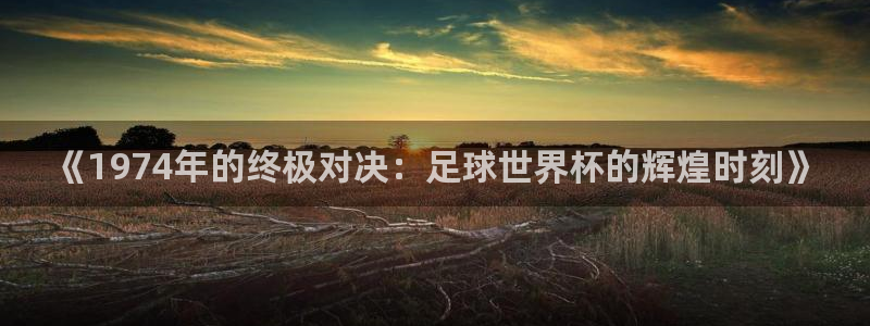 2026世界杯赛程：《1974年的终极对决：足球世界杯的辉煌时刻》