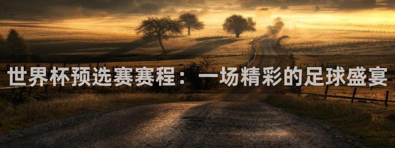 免费足球比赛直播高清：世界杯预选赛赛程：一场精彩的足球盛宴