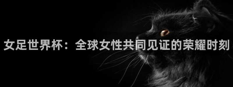 欧洲世界杯预选赛：女足世界杯：全球女性共同见证的荣耀时刻