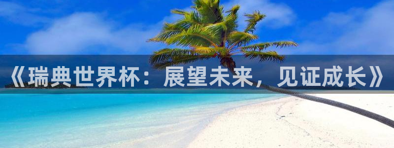 2026世界杯赛程：《瑞典世界杯：展望未来，见证成长》