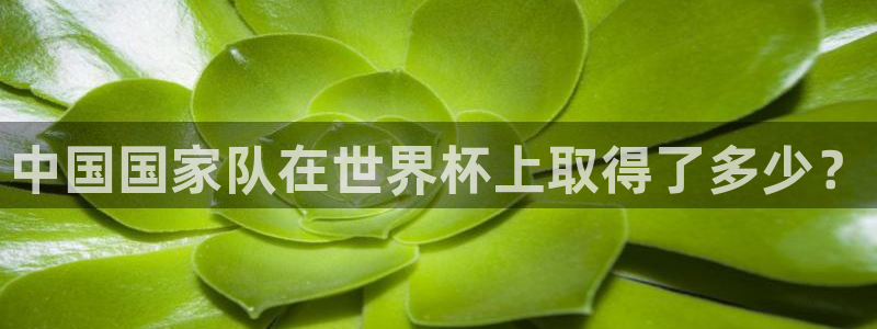 世界杯赛程表：中国国家队在世界杯上取得了多少？