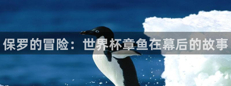 世界杯今年：保罗的冒险：世界杯章鱼在幕后的故事