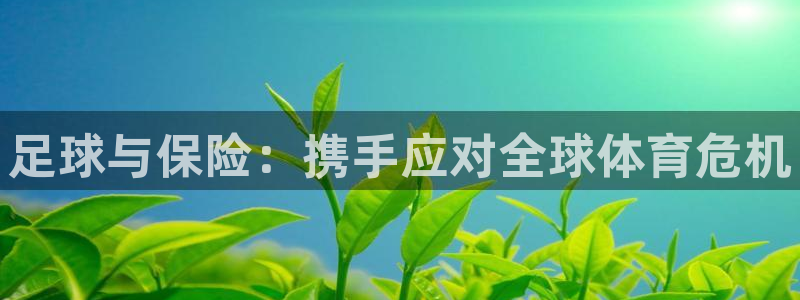 世界杯欧洲区预选赛赛程：足球与保险：携手应对全球体育危机