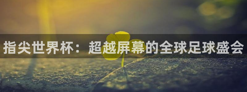 世界杯欧洲预选赛赛程：指尖世界杯：超越屏幕的全球足球盛会