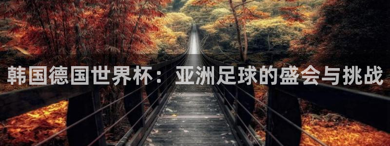 2026足球世界杯赛程：韩国德国世界杯：亚洲足球的盛会与挑战