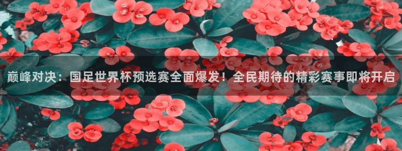 英格兰联赛杯直播：巅峰对决：国足世界杯预选赛全面爆发！全民期待的精彩赛事即将开启