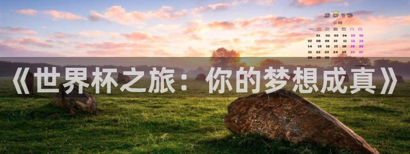 世界杯直播网站：《世界杯之旅：你的梦想成真》