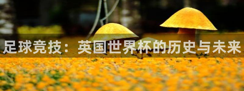 世界杯球队：足球竞技：英国世界杯的历史与未来